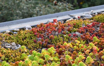 the cost of Invershore green roof installation