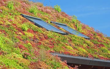 Invershore living roof systems