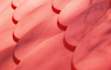 Invershore plastic roof costs