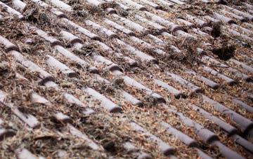 Invershore roof cleaning companies