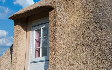Invershore thatch roof disadvantages