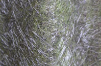 Invershore fibreglass roof work